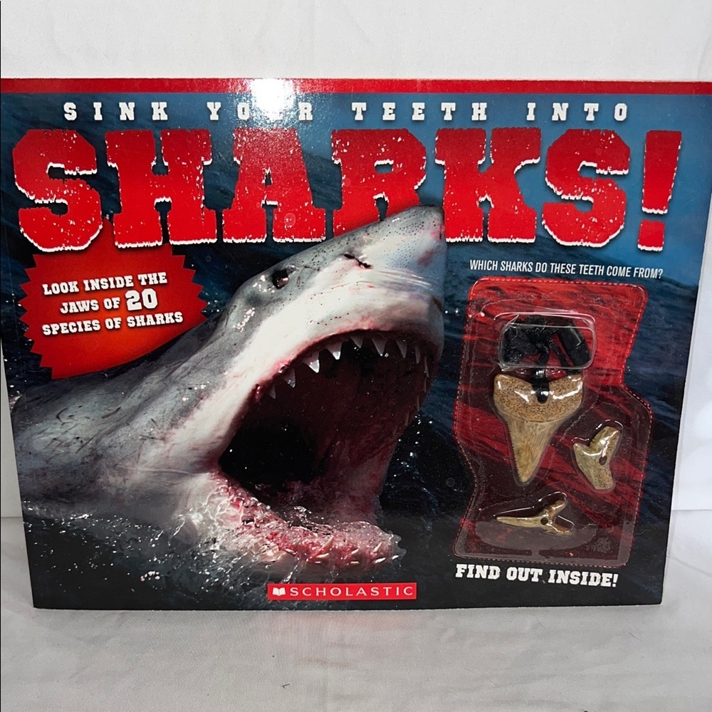 Scholastic Shark Teeth Boom Set